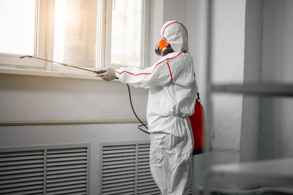Professional mold remediation services in Sterling, CT
